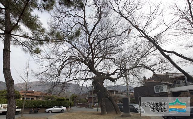 대표시청각 이미지