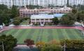 도천 초등학교 전경 썸네일 이미지