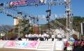 제15회 진해 벚꽃 예술제 행사 중 춤의 향연 공연 모습 썸네일 이미지