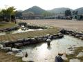 화양 초등학교 연못 썸네일 이미지