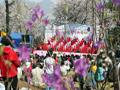 천주산 진달래 축제 행사 모습 썸네일 이미지