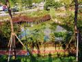 삼동 공원 생태 연못 썸네일 이미지