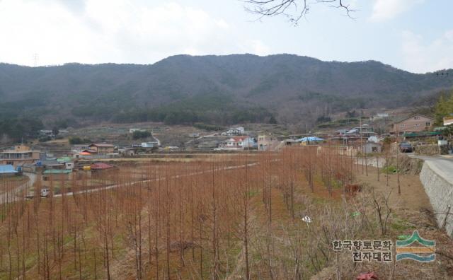 대표시청각 이미지