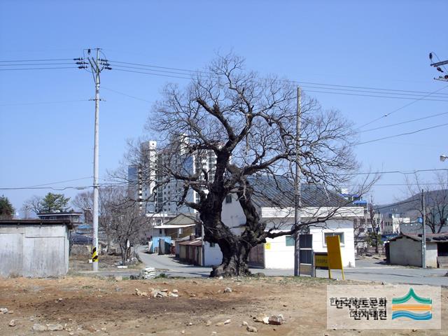 대표시청각 이미지