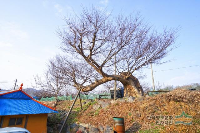 대표시청각 이미지